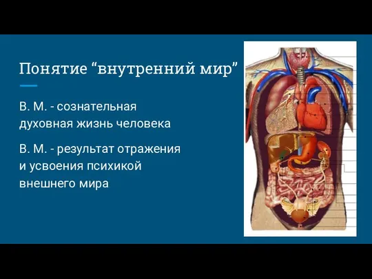 Понятие “внутренний мир” В. М. - сознательная духовная жизнь человека В.