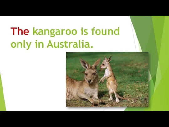 The kangaroo is found only in Australia.