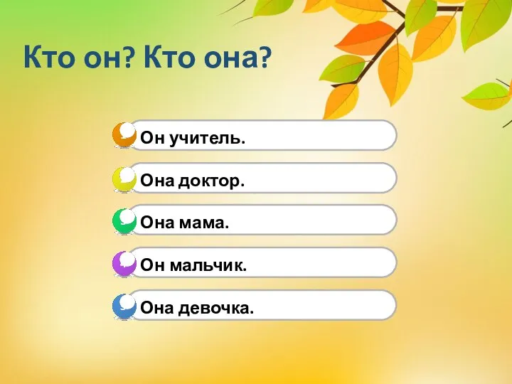 Кто он? Кто она?