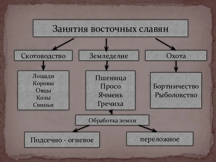 Подсечно - огневое переложное Обработка земли Лошади Коровы Овцы Козы Свиньи