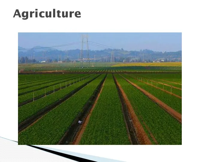 Agriculture