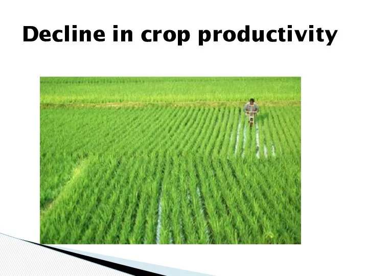 Decline in crop productivity