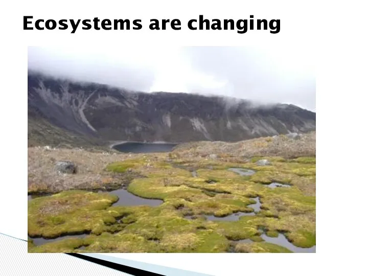 Ecosystems are changing