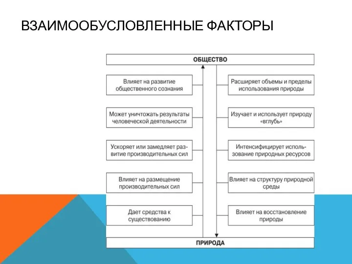 ВЗАИМООБУСЛОВЛЕННЫЕ ФАКТОРЫ