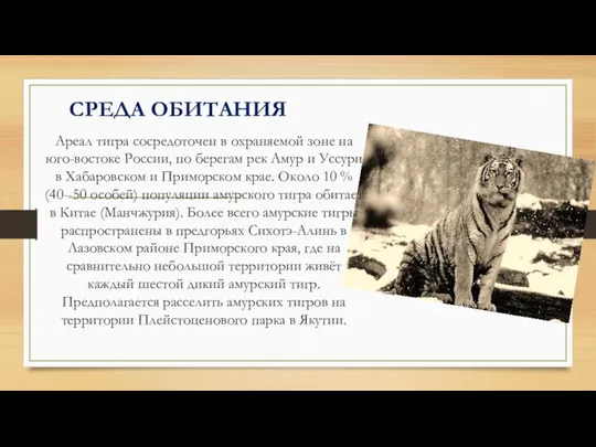 СРЕДА ОБИТАНИЯ Ареал тигра сосредоточен в охраняемой зоне на юго-востоке России,