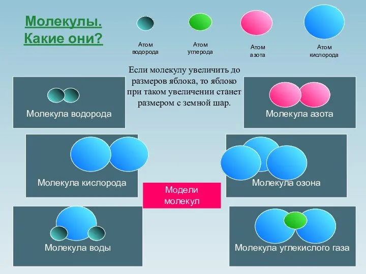 Молекулы. Какие они? Атом водорода Атом азота Атом кислорода Молекула кислорода