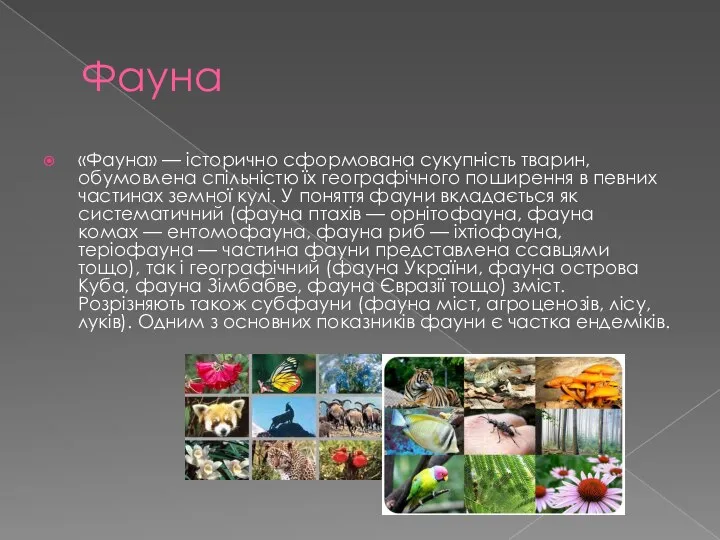 Фауна «Фауна» — історично сформована сукупність тварин, обумовлена спільністю їх географічного