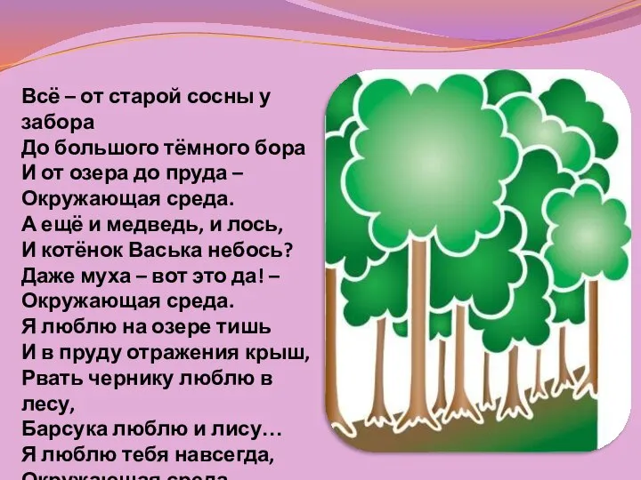 Всё – от старой сосны у забора До большого тёмного бора