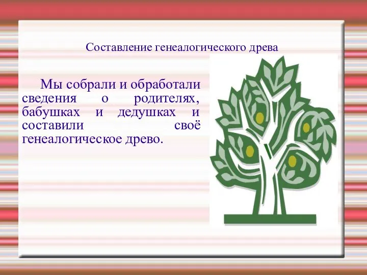 Составление генеалогического древа Мы собрали и обработали сведения о родителях, бабушках