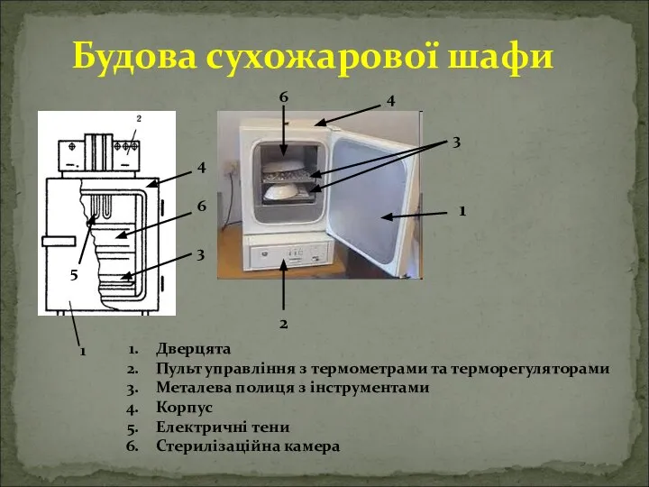 Будова сухожарової шафи 4 2 3 1 Дверцята Пульт управління з