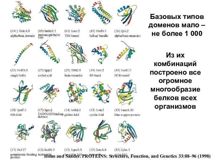 Базовых типов доменов мало – не более 1 000 Holm and