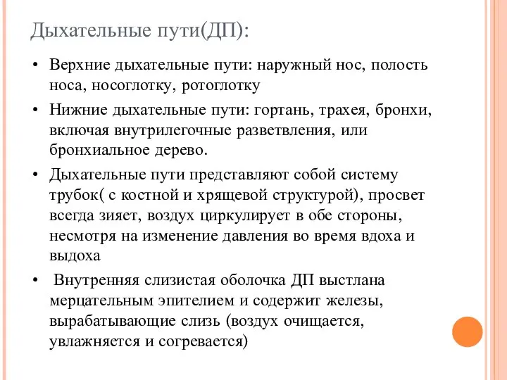 Дыхательные пути(ДП): Верхние дыхательные пути: наружный нос, полость носа, носоглотку, ротоглотку