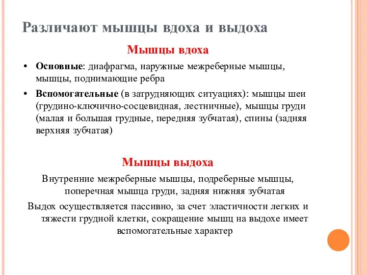 Различают мышцы вдоха и выдоха Мышцы вдоха Основные: диафрагма, наружные межреберные