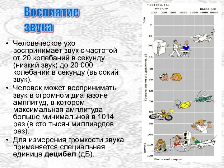 Человеческое ухо воспринимает звук с частотой от 20 колебаний в секунду