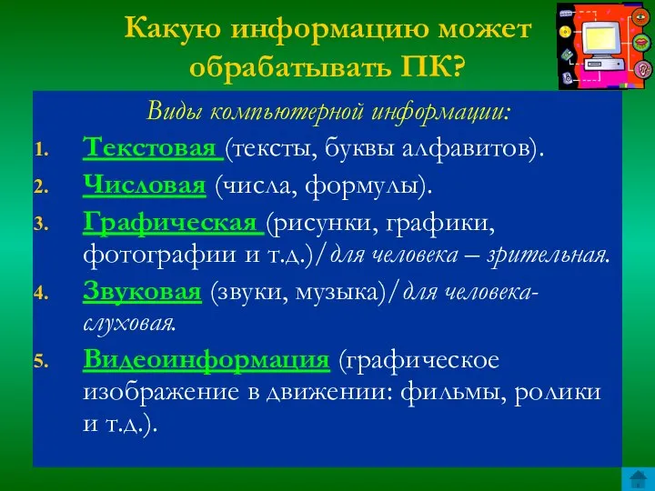 Какую информацию может обрабатывать ПК? Виды компьютерной информации: Текстовая (тексты, буквы