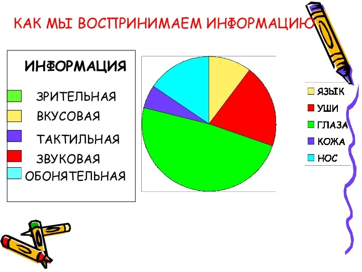 КАК МЫ ВОСПРИНИМАЕМ ИНФОРМАЦИЮ ЗРИТЕЛЬНАЯ ВКУСОВАЯ ТАКТИЛЬНАЯ ЗВУКОВАЯ ОБОНЯТЕЛЬНАЯ ИНФОРМАЦИЯ