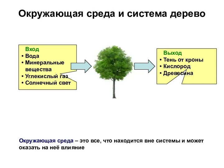 Окружающая среда и система дерево Вход Вода Минеральные вещества Углекислый газ