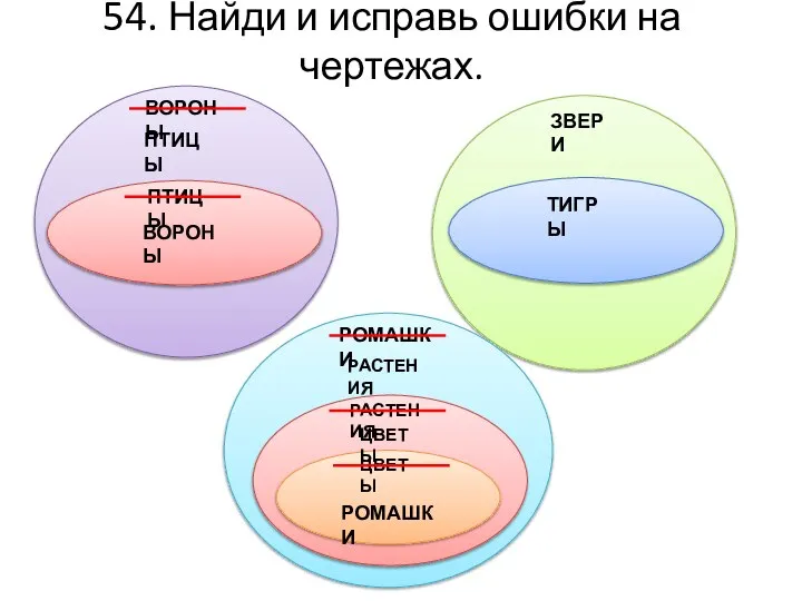 54. Найди и исправь ошибки на чертежах. ПТИЦЫ ВОРОНЫ ЗВЕРИ ТИГРЫ