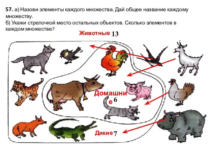 57. а) Назови элементы каждого множества. Дай общее название каждому множеству.