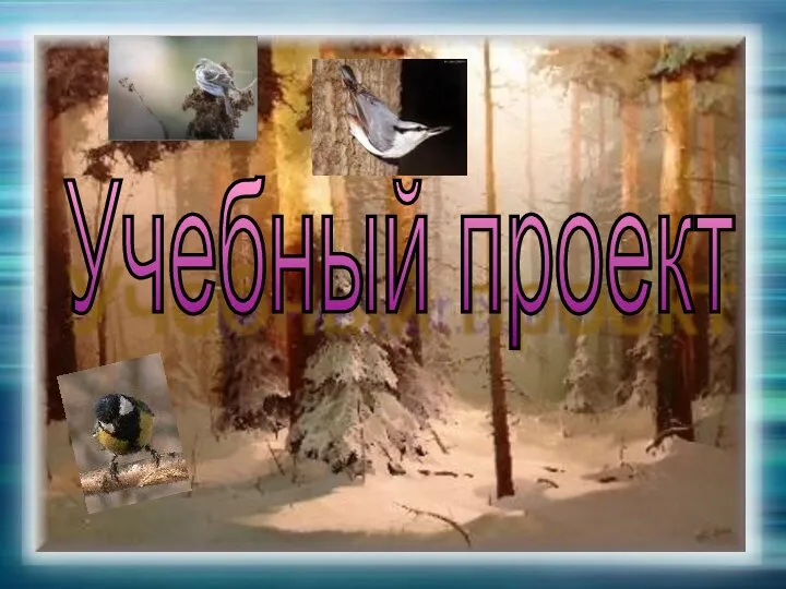 Учебный проект