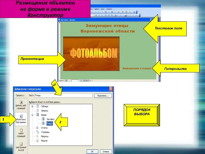 Гиперссылка Текстовое поле 2 Размещение объектов на форме в режиме Конструктор