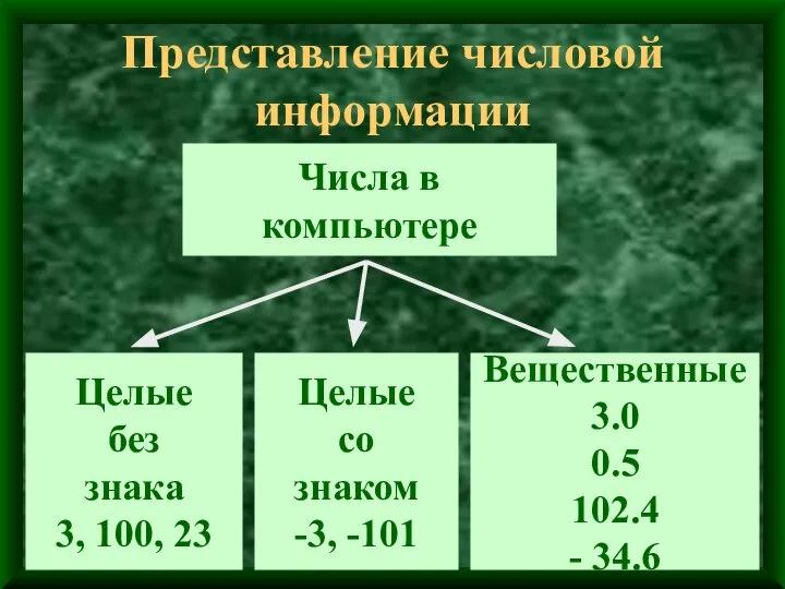 Представление числовой информации Числа в компьютере Целые без знака 3, 100,