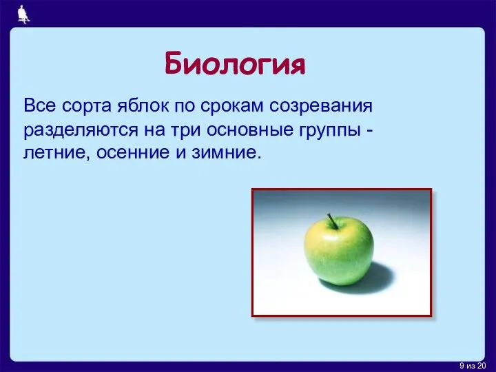 Биология Все сорта яблок по срокам созревания разделяются на три основные