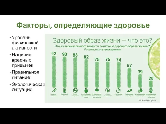 Факторы, определяющие здоровье Уровень физической активности Наличие вредных привычек Правильное питание Экологическая ситуация