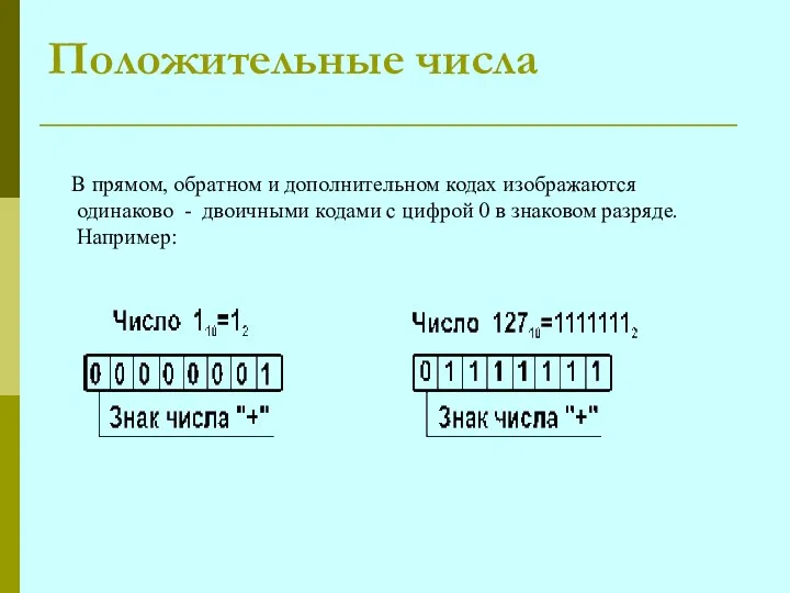 Положительные числа В прямом, обратном и дополнительном кодах изображаются одинаково -