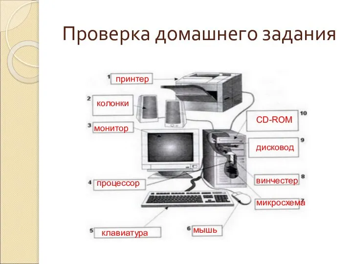 Проверка домашнего задания принтер колонки монитор процессор CD-ROM дисковод винчестер микросхема мышь клавиатура