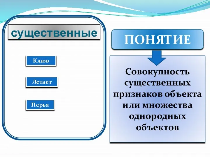 существенные Летает Клюв Перья ПОНЯТИЕ Совокупность существенных признаков объекта или множества однородных объектов