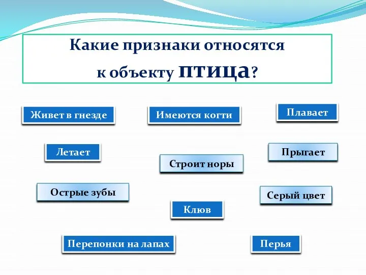 Какие признаки относятся к объекту птица? Живет в гнезде Летает Острые