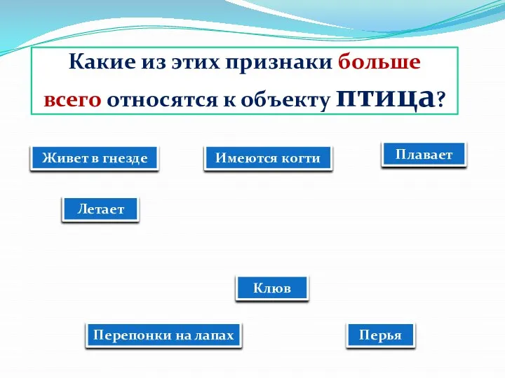 Какие из этих признаки больше всего относятся к объекту птица? Живет