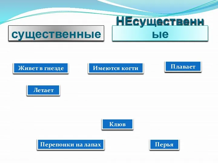 существенные НЕсущественные Живет в гнезде Летает Клюв Перепонки на лапах Перья Плавает Имеются когти