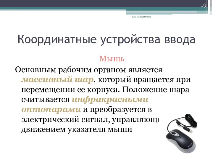 Координатные устройства ввода Мышь Основным рабочим органом является массивный шар, который