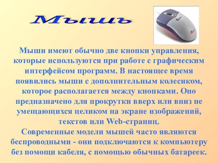 Мыши имеют обычно две кнопки управления, которые используются при работе с