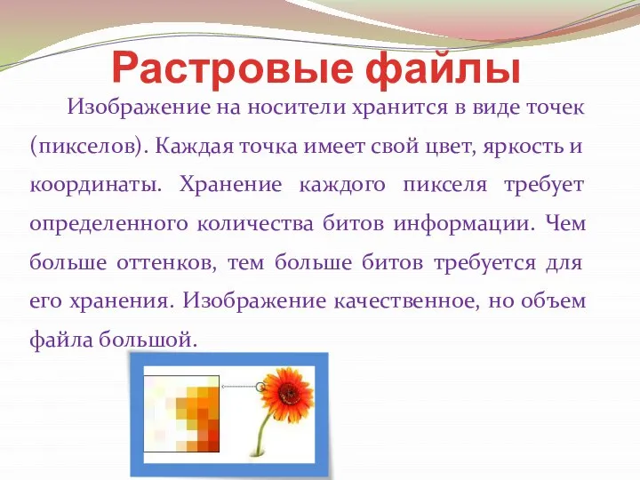 Растровые файлы Изображение на носители хранится в виде точек (пикселов). Каждая