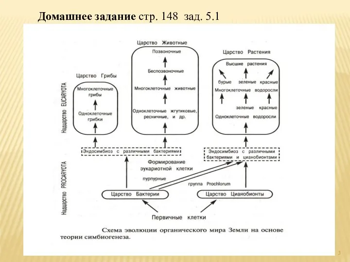 Домашнее задание стр. 148 зад. 5.1