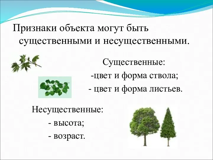 Признаки объекта могут быть существенными и несущественными. Существенные: -цвет и форма