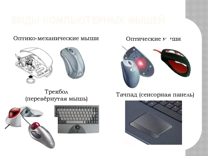 Оптико-механические мыши Оптические мыши Трекбол (перевёрнутая мышь) Тачпад (сенсорная панель) ВИДЫ КОМПЬЮТЕРНЫХ МЫШЕЙ