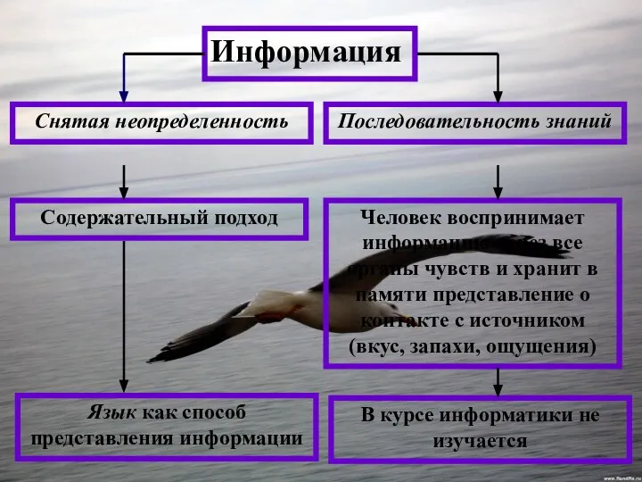 Информация Снятая неопределенность Последовательность знаний Содержательный подход Человек воспринимает информацию через