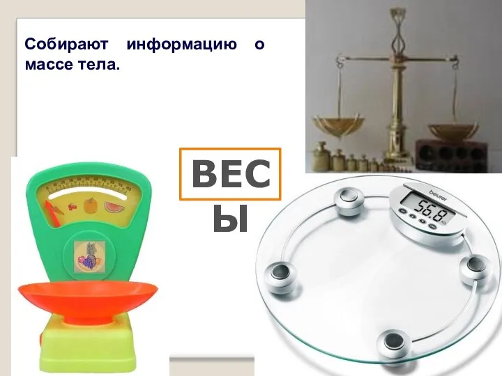 ВЕСЫ Собирают информацию о массе тела.