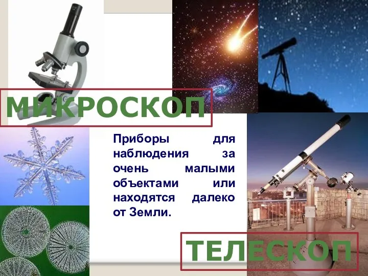 МИКРОСКОП Приборы для наблюдения за очень малыми объектами или находятся далеко от Земли. ТЕЛЕСКОП