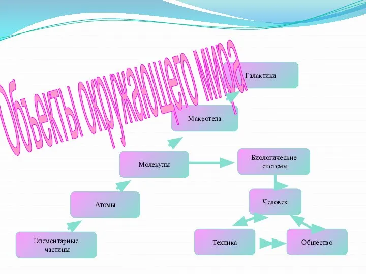 Элементарные частицы Атомы Молекулы Макротела Галактики Объекты окружающего мира Биологические системы Человек Техника Общество