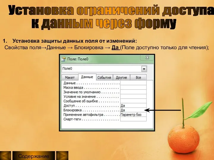 Установка ограничений доступа к данным через форму Установка защиты данных поля