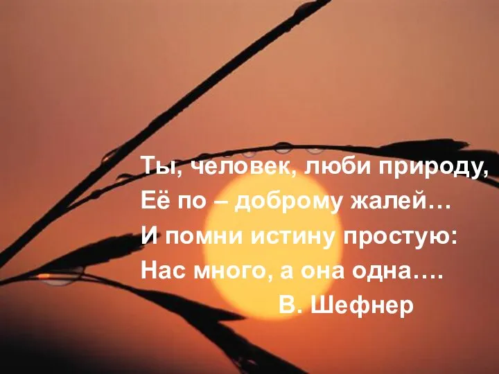 Ты, человек, люби природу, Её по – доброму жалей… И помни