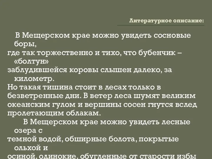 Литературное описание: В Мещерском крае можно увидеть сосновые боры, где так