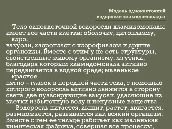 Модель одноклеточной водоросли хламидомонады: Тело одноклеточной водоросли хламидомонады имеет все части