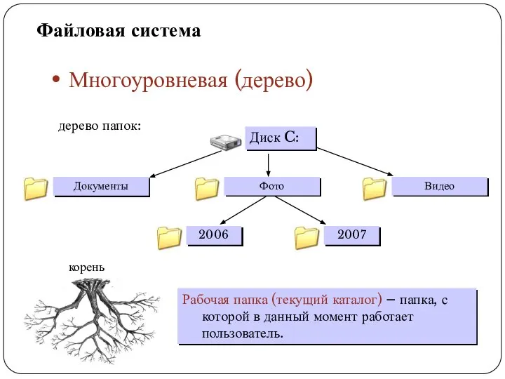 Файловая система Многоуровневая (дерево) Рабочая папка (текущий каталог) – папка, с