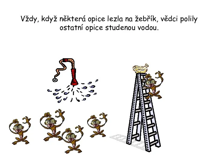 Vždy, když některá opice lezla na žebřík, vědci polily ostatní opice studenou vodou.